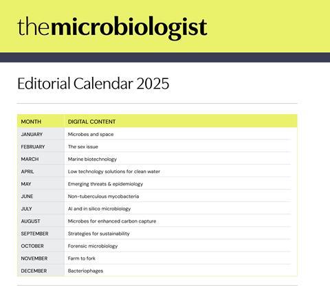 Editorial Calendar 2025
