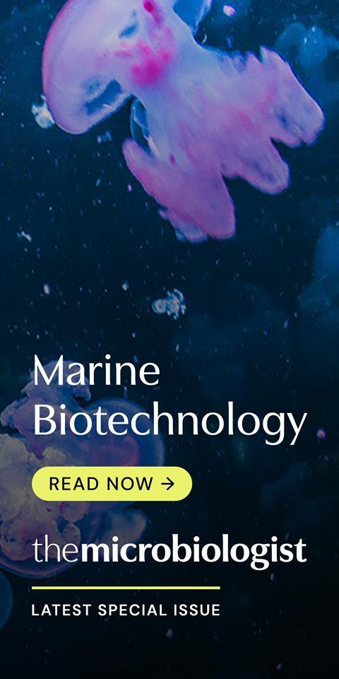 Special Issue